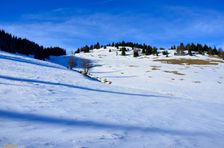 Švošovská hoľa 1318m