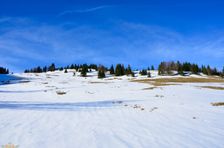 Švošovská hoľa 1318m, výstup