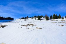 Švošovská hoľa 1318m, výstup