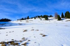 Švošovská hoľa 1318m, výstup