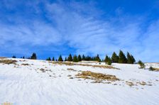 Švošovská hoľa 1318m, výstup