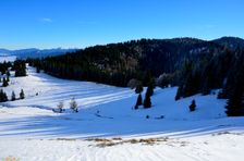 Chotárnô 1369m & Stánky 1326m