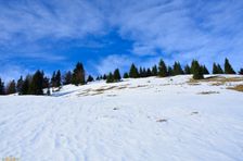 Švošovská hoľa 1318m, výstup