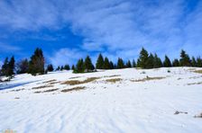 Švošovská hoľa 1318m, výstup