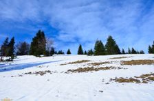 Švošovská hoľa 1318m, výstup