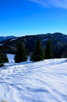 Chotárnô 1369m & Šiprúň 1461m