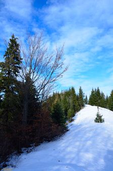 Švošovská hoľa 1324m