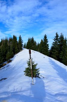 Švošovská hoľa, tyč