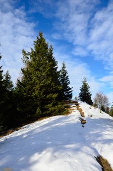 Švošovská hoľa 1324m