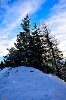 Švošovská hoľa 1324m