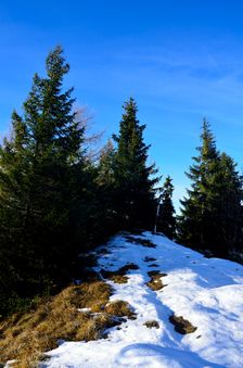 Magura 1309m, vrcholová tyč