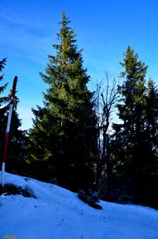 Magura 1309m, vrcholová tyč