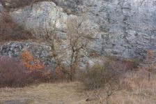 Hainburger Berge