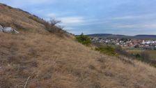 Hainburger Berge