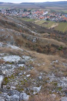Hainburger Berge