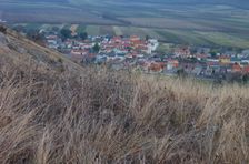 Hainburger Berge