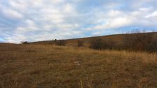 Hainburger Berge