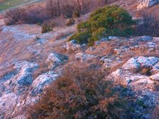 Hainburger Berge