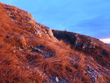 Hainburger Berge