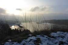 Hainburger Berge