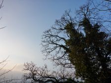 Hainburger Berge