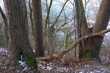 Hainburger Berge