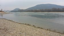 Hainburger Berge