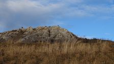 Hainburger Berge, Braunsberg