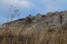 Hainburger Berge, Braunsberg