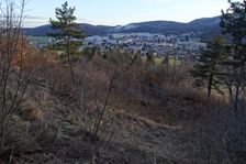 Hainburger Berge, Braunsberg