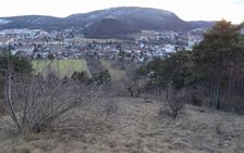 Hainburger Berge, Braunsberg