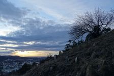 Hainburger Berge, Braunsberg