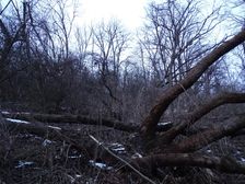 Hainburger Berge, Braunsberg