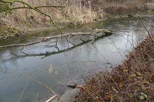 Leithaauen, Hollern