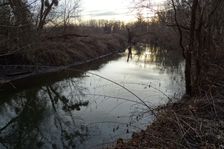 Leithaauen, Rohrau, water stinking like sewage!