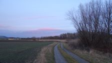 Leithaauen, Hollern