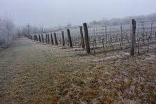 Spitzerberg, Prellenkirchen