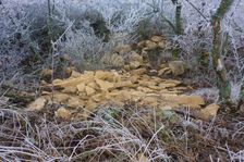 Spitzerberg, Prellenkirchen