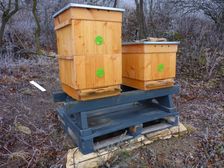 Spitzerberg, Prellenkirchen, bee boxes