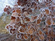 Spitzerberg, Prellenkirchen