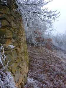 Spitzerberg, Prellenkirchen
