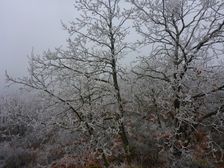 Spitzerberg, Prellenkirchen