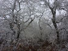 Spitzerberg, Prellenkirchen