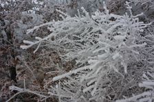 Spitzerberg, Prellenkirchen