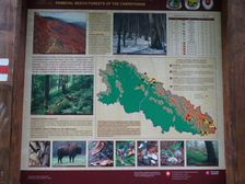 Stužica, NP Poloniny