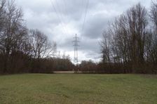 Nationalpark Donauauen, Stopfenreuther Au, core zone, one of the at least two crossing power lines