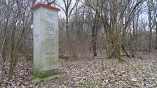 Nationalpark Donauauen, Stopfenreuther Au, core zone, flood marks (during - less - high water)