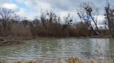 Nationalpark Donauauen, Stopfenreuther Au, core zone