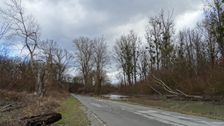 Nationalpark Donauauen, Stopfenreuther Au, core zone