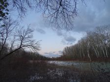 Nationalpark Donauauen, Stopfenreuther Au, core zone